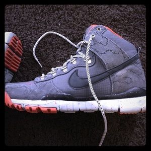 Nike Dunk High R/R Poler